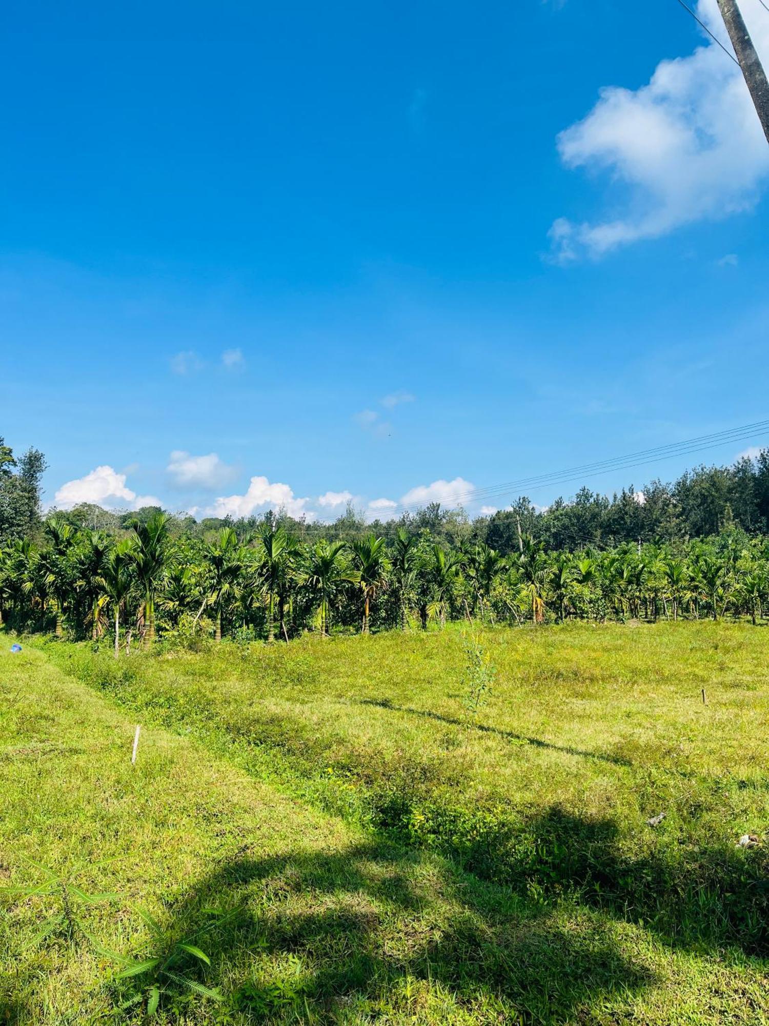 Preetham Homestay Kushālnagar Exteriér fotografie