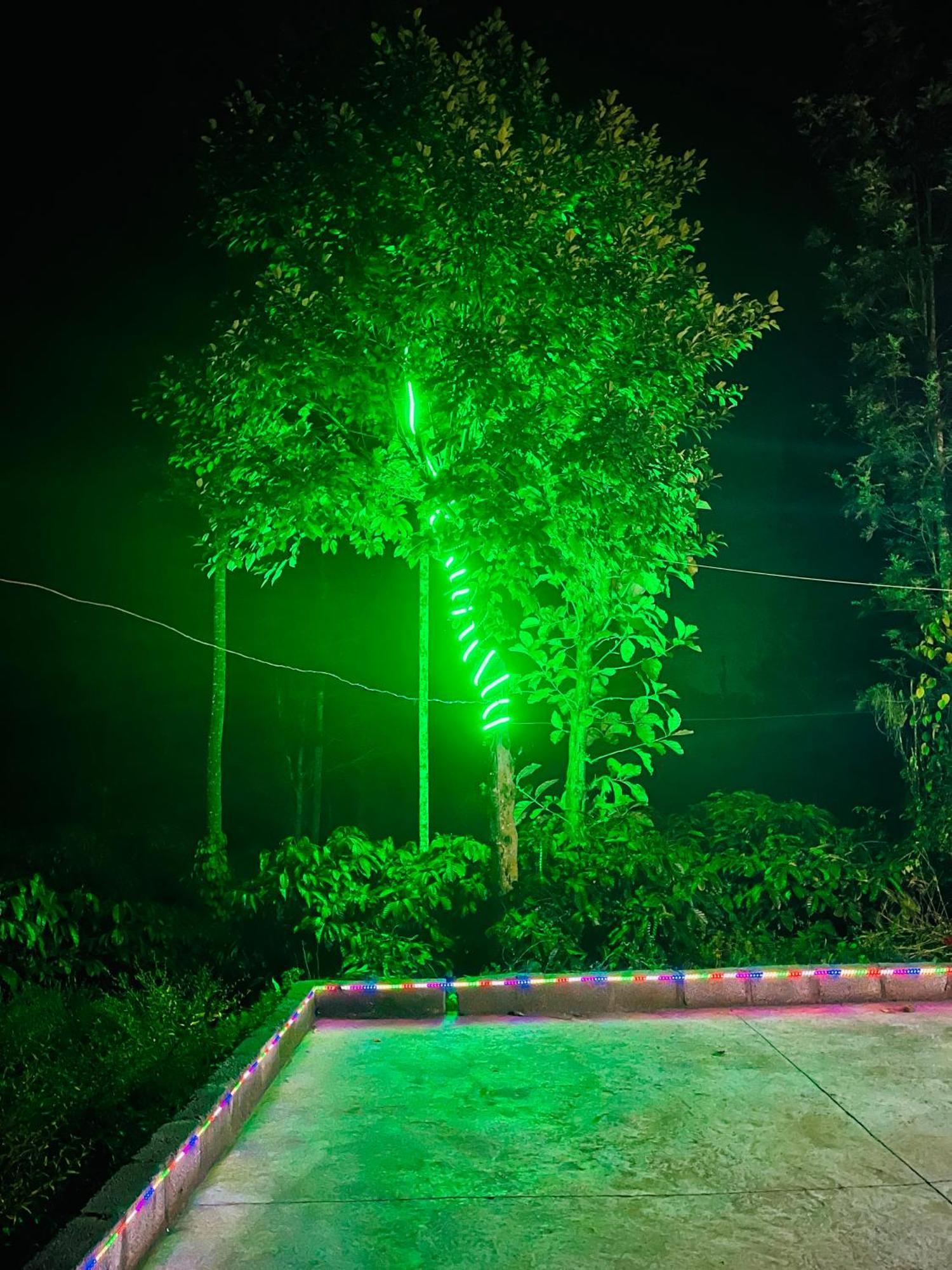 Preetham Homestay Kushālnagar Exteriér fotografie